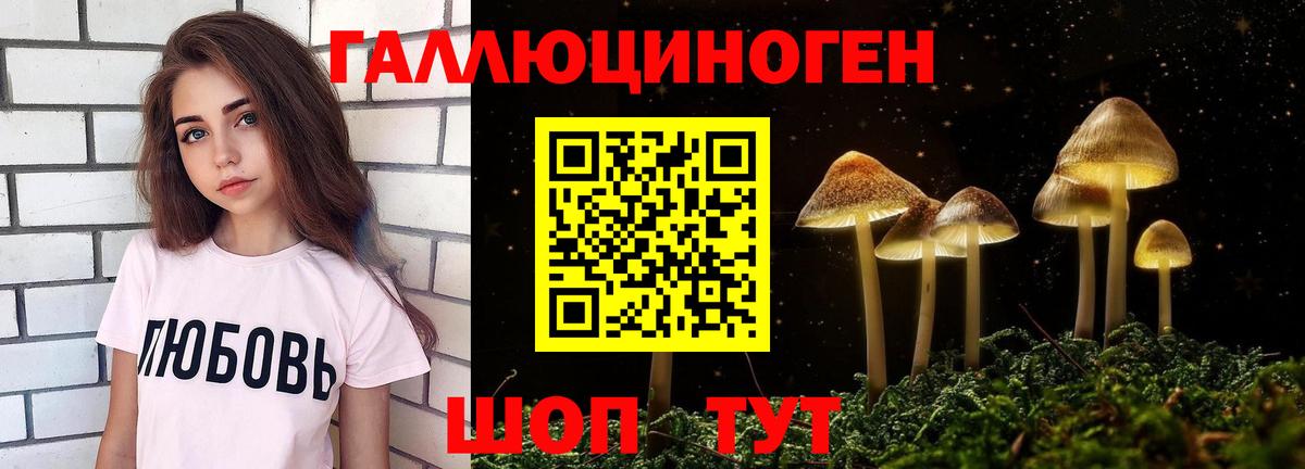 Петрозаводск  Псилоцибиновые грибы мухоморы  Галлюциногенные грибы Psilocybine cubensis  Вход с VPN 
