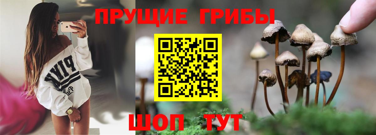 Alpha-PVP Петрозаводск